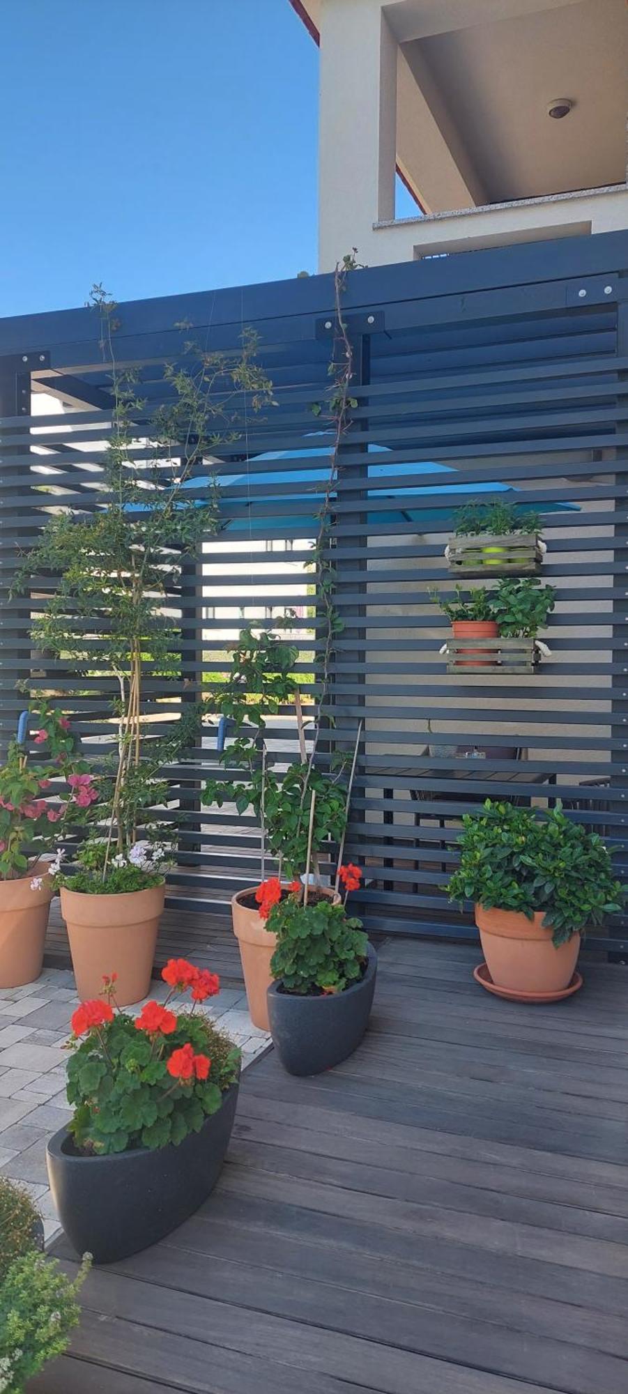 Apartman Matea